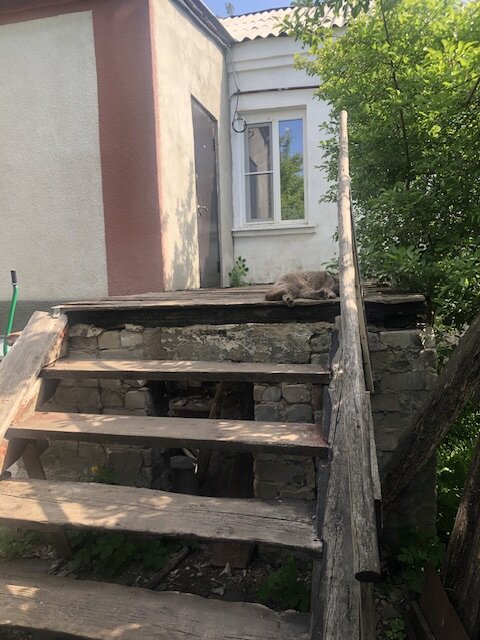 Вот такой он был