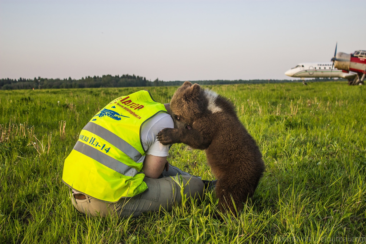 Фото: https://vk.com/mansurbear  