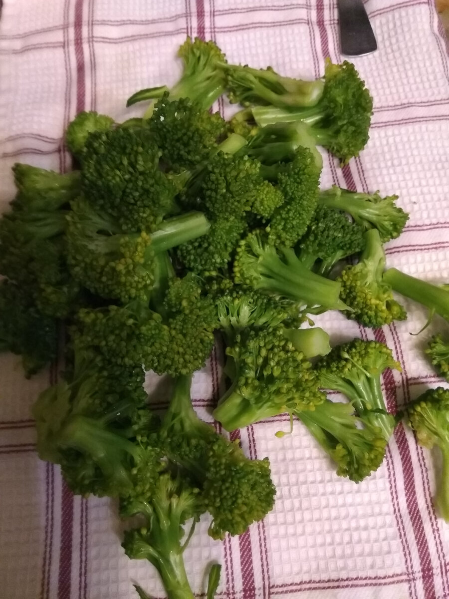 Фото автора. Урожай прошлого года - в заморозку