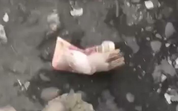 Источник фото: скриншот видео//vk.com/ghestkrd