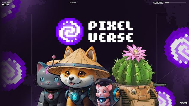 Изображение загрузки игры Pixel Verse