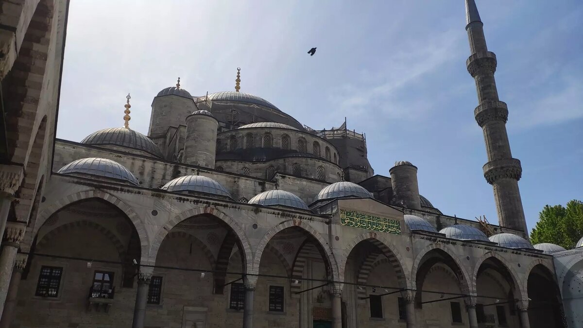     Источник: 1MI