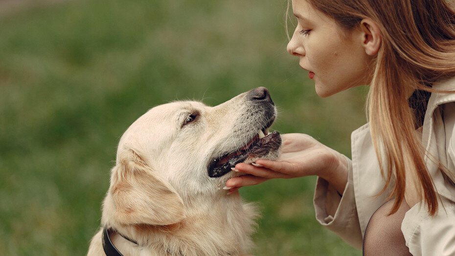     Источник здесь и далее: freepik.com/prostooleh