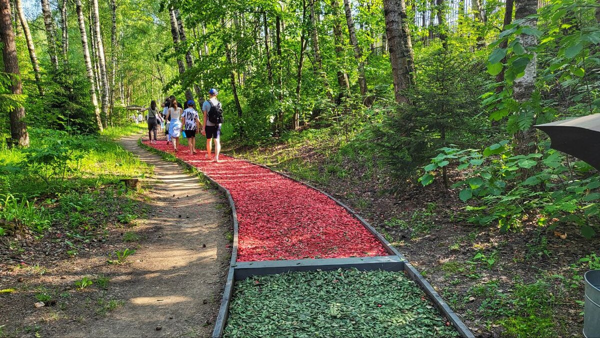 Это покрытие древесная щепа