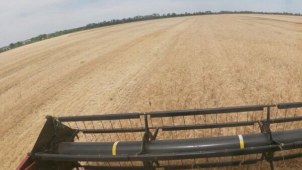    © РИА Новости Крым