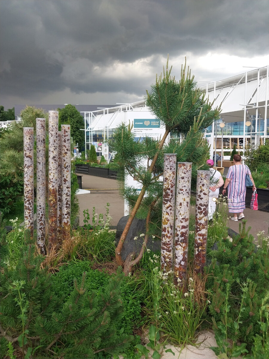 Растения в будущем. Выставка цветы. Будущее в цветах выставка. Будущее с растениями. Ярмарка цветов.