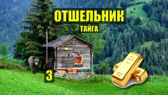 ПОБЕГ из ТЮРЬМЫ ЗОЛОТО ОТШЕЛЬНИКА СУДЬБА ДОМ ДЕТЕКТИВ в ЛЕСУ ЖИВОТНЫЕ ИСТОРИИ из ЖИЗНИ СЕРИАЛ 3