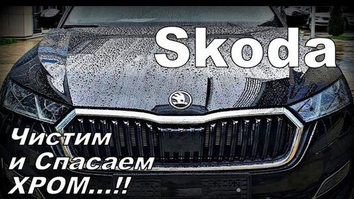 Skoda: Чистим и Спасаем Хром (2024)