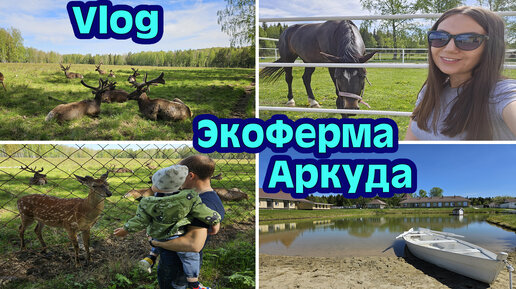 VLOG | АКВАПАРК ЛЕТО-ЛЕТО 🏊‍♀️ ЭКОФЕРМА АРКУДА 🐐🐴🫎 ЗАКУПАЕМ СТРОЙМАТЕРИАЛЫ | К НАМ ПРИШЛО ЛЕТО ☀️