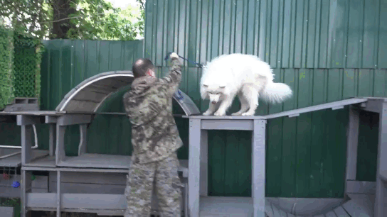 Горбатый мост