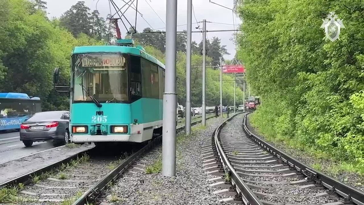    Следственный комитет РФ