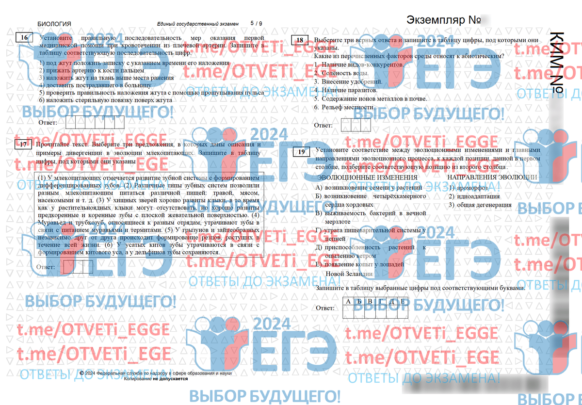 ЕГЭ 2024 - Возможно ли где-то найти ответы заранее? | Настоящие варианты с  ответами ЕГЭ 2024|Информатика|В наличии ответы всех регионов! Мы уже слили  Реальные варианты! | Дзен