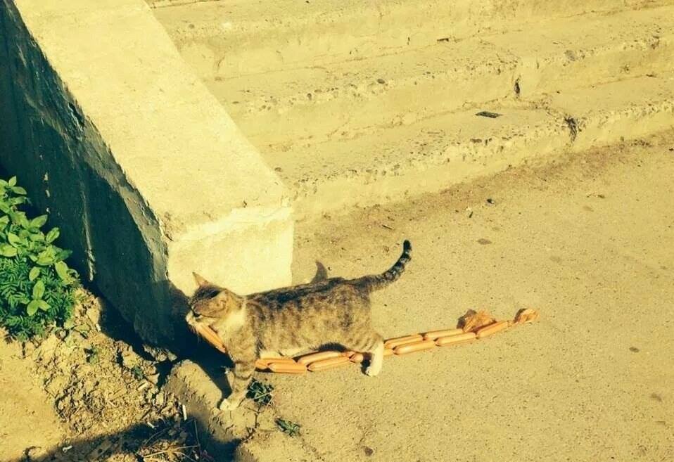 источник Яндекс-картинки