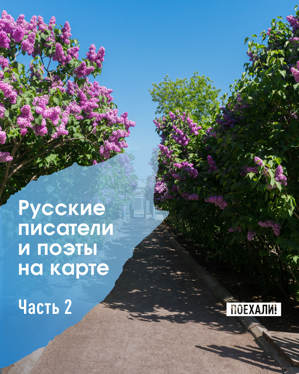 © Grinchenkova Anzhela/ Shutterstock