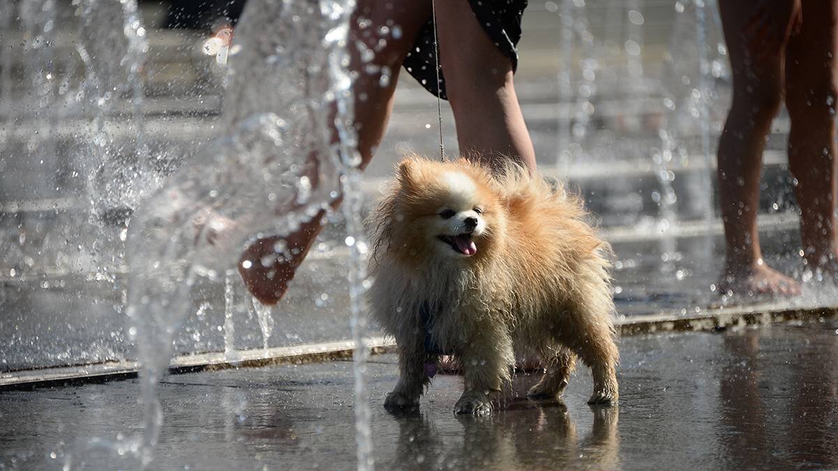    Фото: Пелагия Замятина / Вечерняя Москва