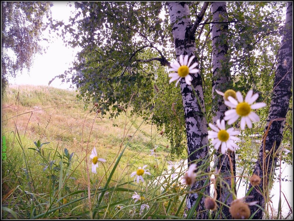 Помните! Из свободного доступа Интернет