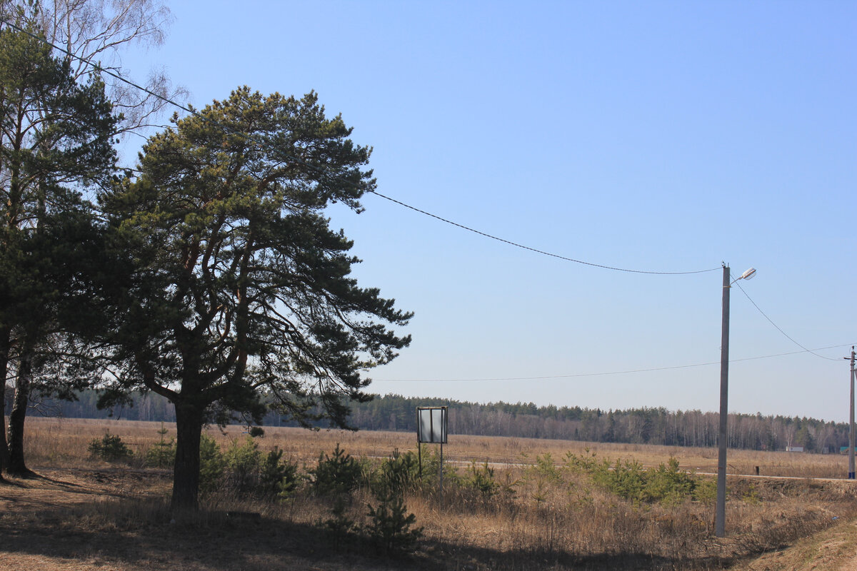 Личное  фото автора