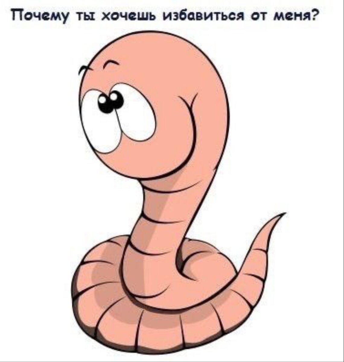 ПОГОВОРИМ О ГЕЛЬМИНТОЗАХ🐛
 ( о глистах, если простыми словами)

Сейчас очень популярно среди блогеров-травников, фитотерапевтов, врачей, нутрициологов рекомендовать так называемые "противопаразитарные чистки", либо прием противопаразитарных лекарственных препаратов.

Но почему то мало говорится о том, что прежде чем "гнать паразитов во все концы", нужно знать следующие моменты:

✅ Принимать противопаразитарные препараты или сборы крайне осторожно, если есть проблемы с желчным пузырем: при перегибе желчного, дискинезии по гипомоторному типу, или по ряду других причин  плохо отделяется желчь - вместо "чистки от паразитов" можно заработать  интоксикацию!

Детоксикация и вывод паразитов из организма идёт в том числе через печень и желчевыводящие пути. Теперь представьте, что происходит в случае, если человек проходит "чистку от паразитов" и имеется застой желчи или нарушения в работе печени? Правильно  - интоксикация всего организма