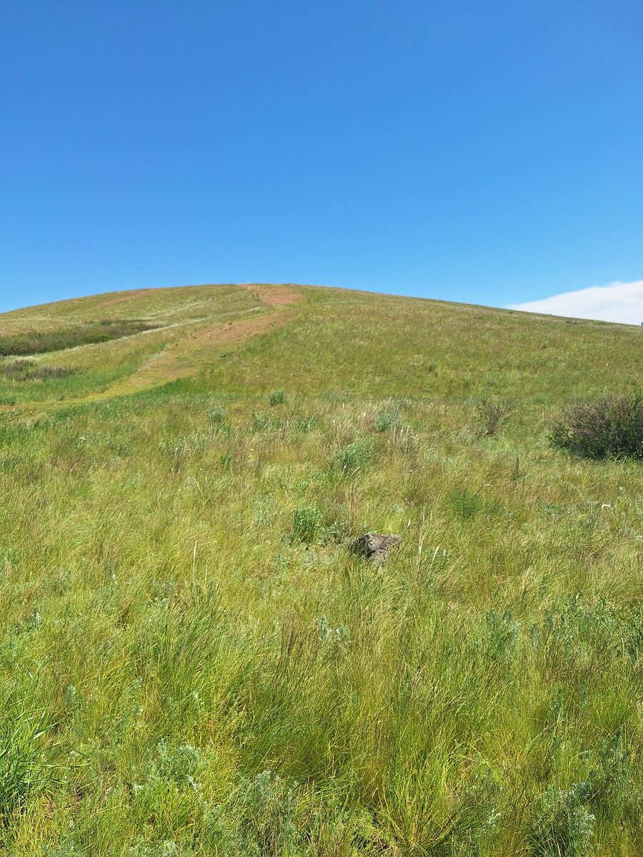 на Шаманку тропинка