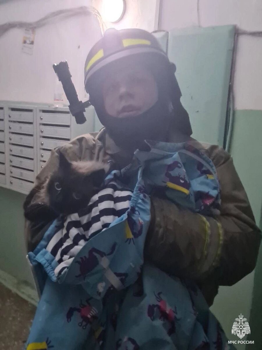    Фото: ГУ МЧС по Ульяновской области