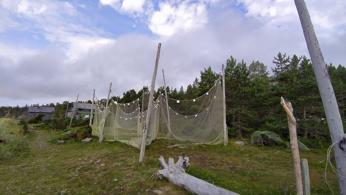 Тоня Тетрина