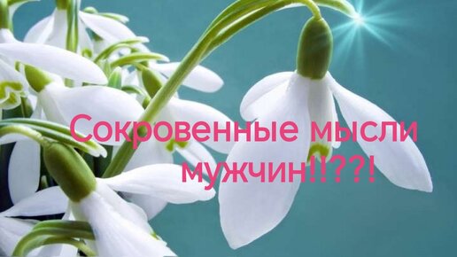 Что он ни кому не скажет???