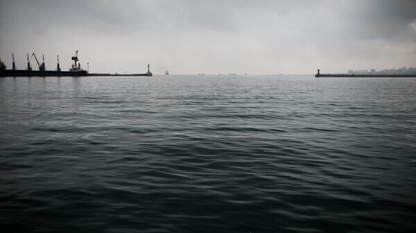    © РИА Новости . Владимир Астапкович