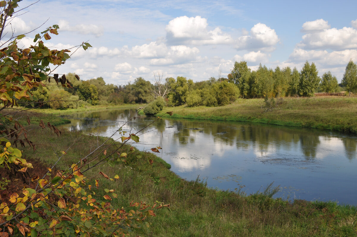Река Руза возле села Комлево. 2019 год.