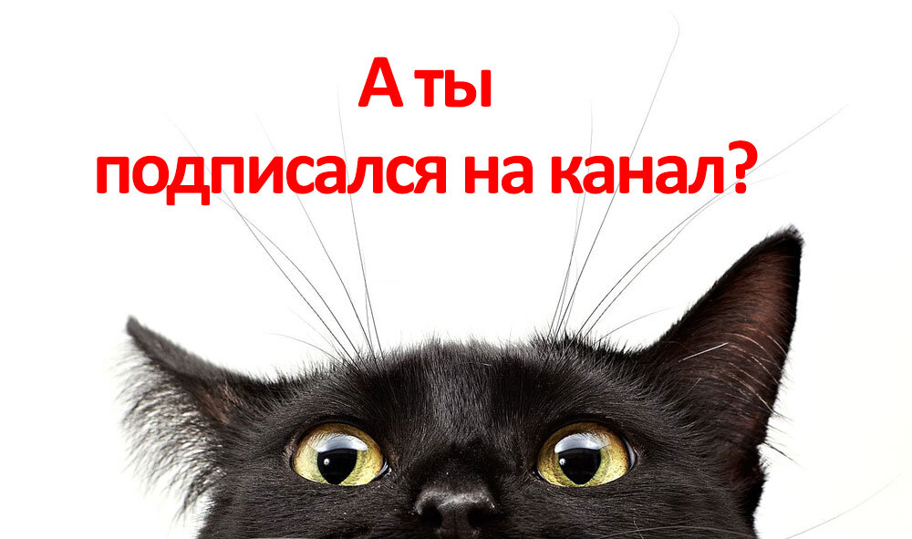 В начале сезона дачники задумываются: если урожай окажется богатым, можно ли его продать, и если да, то кому. Расскажем, как не нарушить закон!-2