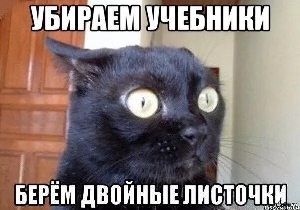 Ловите флэшбеки