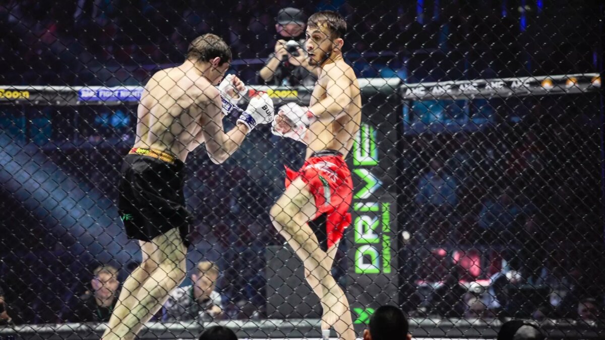     Источник: 1MI