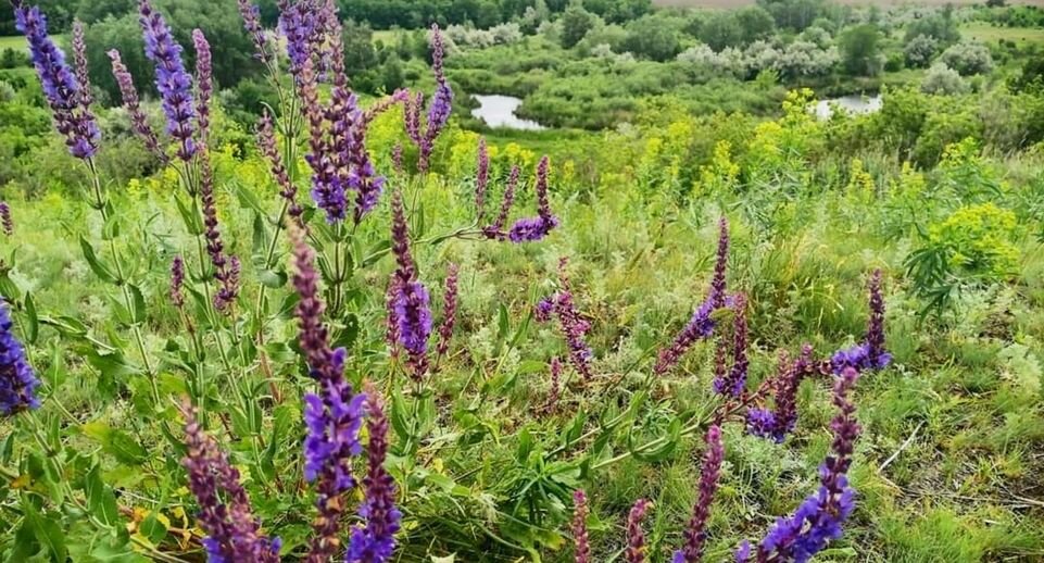    Источник фото: unsplash.com