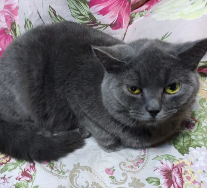 Глафира Ивановна.