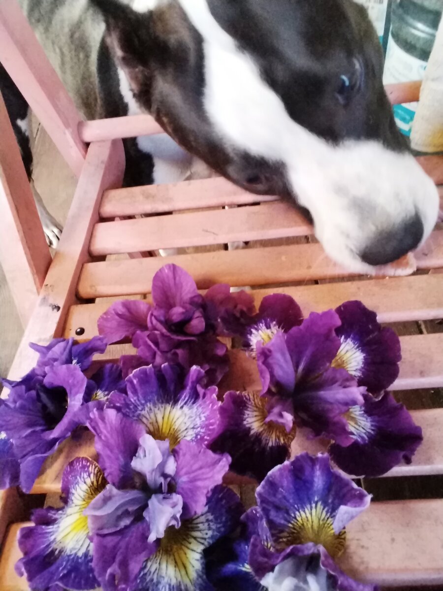 Дора у нас ценительница прекрасного.