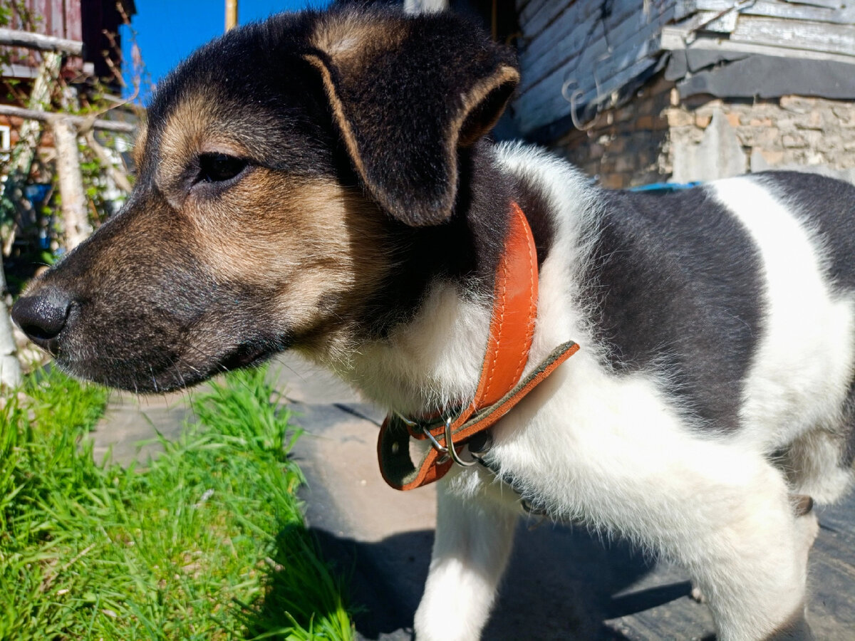 Малыш Гром.