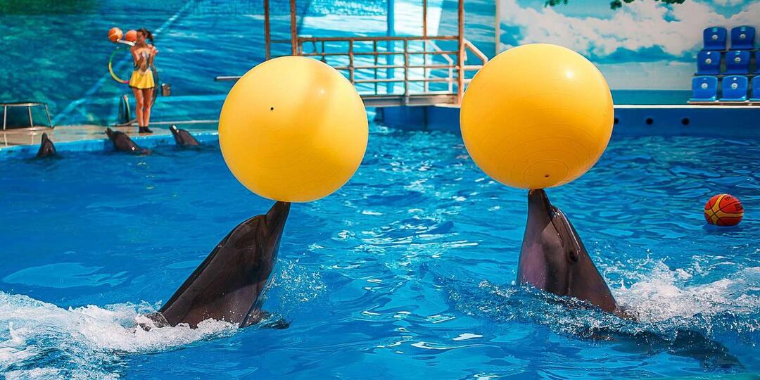 Куда сходить с детьми в Анапе?