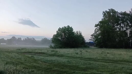 ЖИЗНЬ В ДЕРЕВНЕ/ДЕЛА ДОМАШНИЕ, ОГОРОДНЫЕ, ПЕРЕСАДИЛА РОЗЫ, ХОСТЫ.