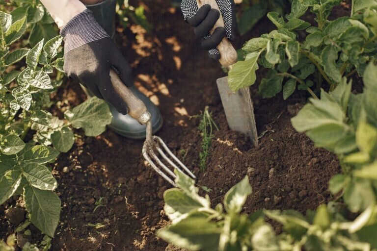    фото: freepik.com/prostooleh Игорь Бережной