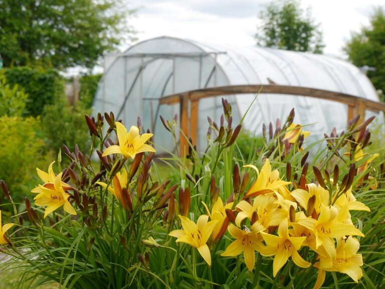    Фото: С. Грицков/СПб ведомости/ТАСС Игорь Бережной