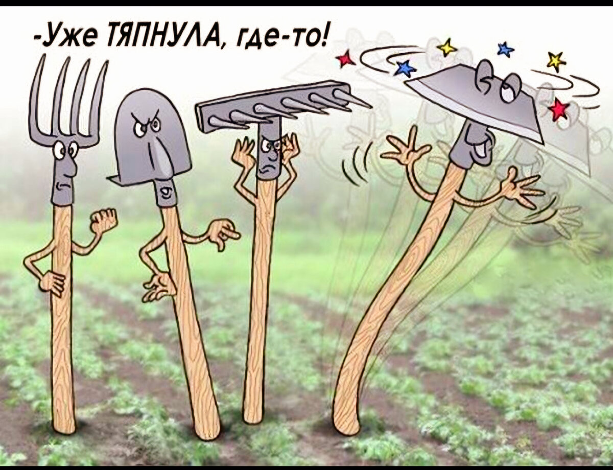 Смешное видео про огород
