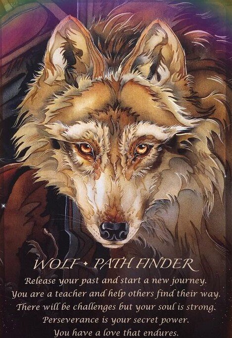 Колода: "Spirit of the Animals Oracle" by Jody Bergsma 