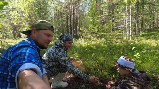 ДОБРАЯ СЕМЕЙНАЯ ГРИБАЛКА. ВЫХОД ЗА ГРИБАМИ. ВСЕЙ СЕМЬЁЙ ПО ГРИБЫ. СБОР ГРИБОВ В КАРЕЛИИ. ГРИБОЧКИ НА ЗАСОЛКУ