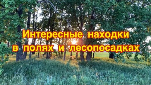 Деньги прямо под ногами! Интересные находки в полях и лесопосадках