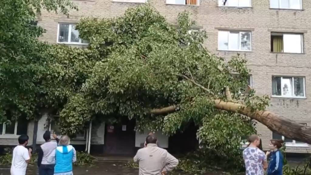 Дерево упало на общежитие, выбиты окна. Фотографией с автором поделились очевидцы. 