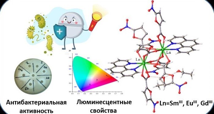 Иллюстрация исследования: полученные комплексы европия, самария и гадолиния обладают антибактериальной активностью и люминесцентными свойствами, важными для визуализации локализации этих препаратов в организме