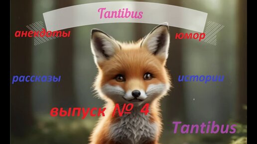 Юмор анекдоты от лисёны (Tantibus) Выпуск №4