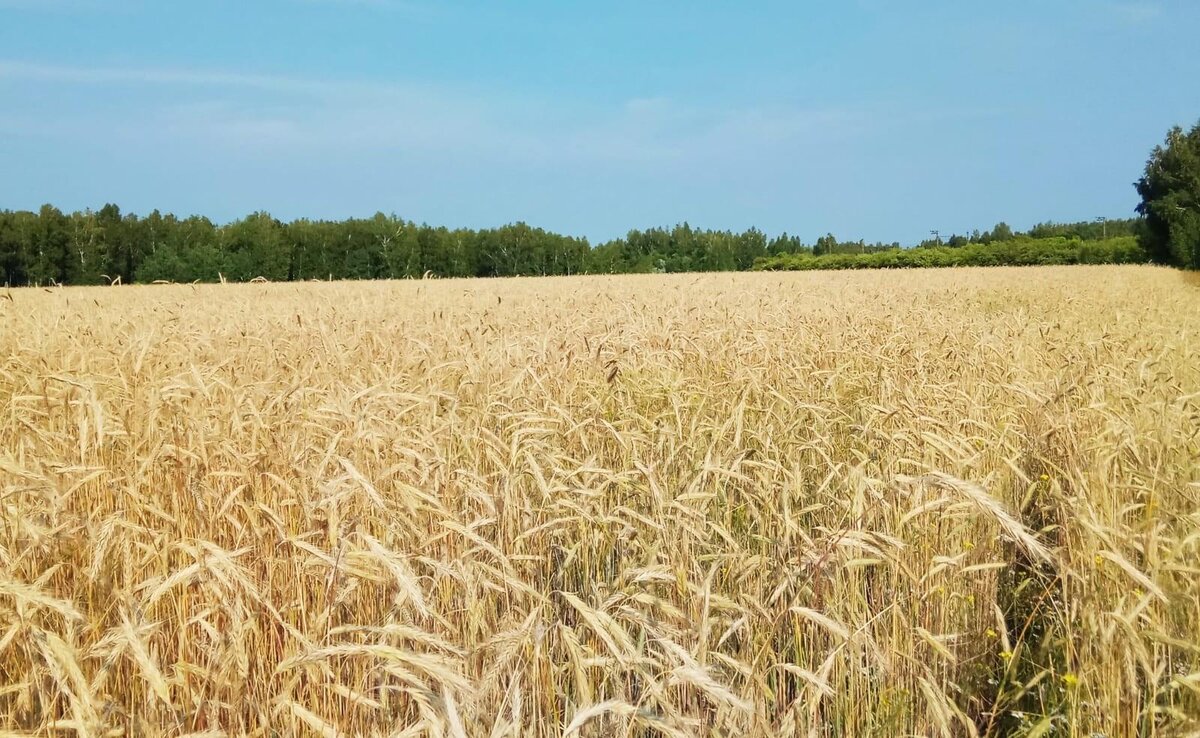 Фото Евгения Карабанова