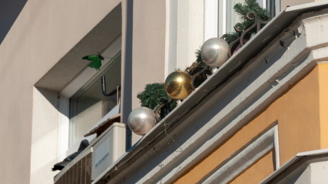    Svetlana Vozmilova/Globallookpress