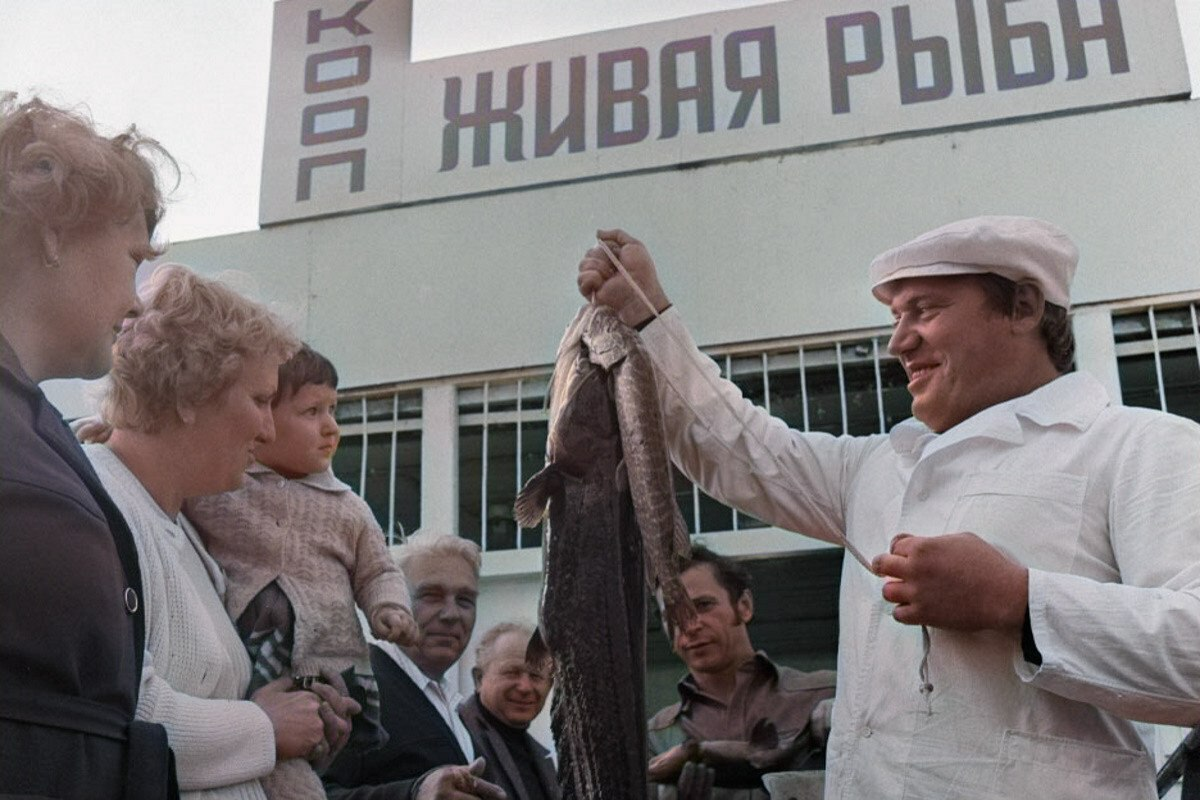 Источник фото: яндекс картинки