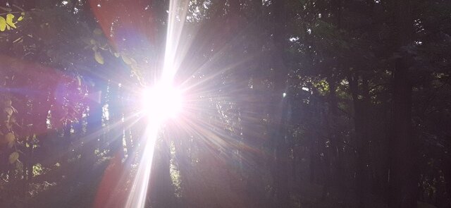 Моё хобби - фото солнечных лучиков